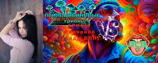 дмт Бронницы