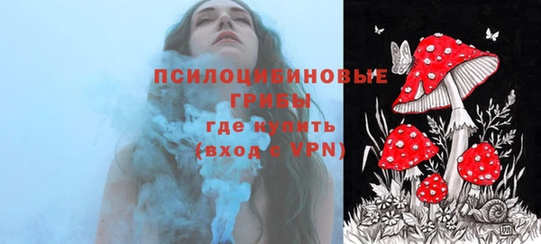 хмурый Верея