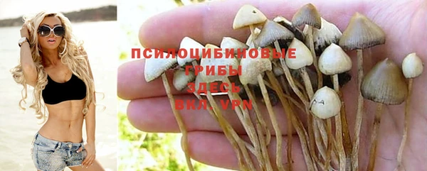 дмт Бронницы